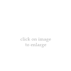 enlarged image
